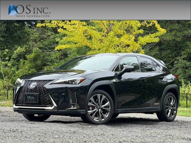 Lexus UX 1