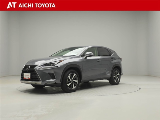 2020 Lexus NX