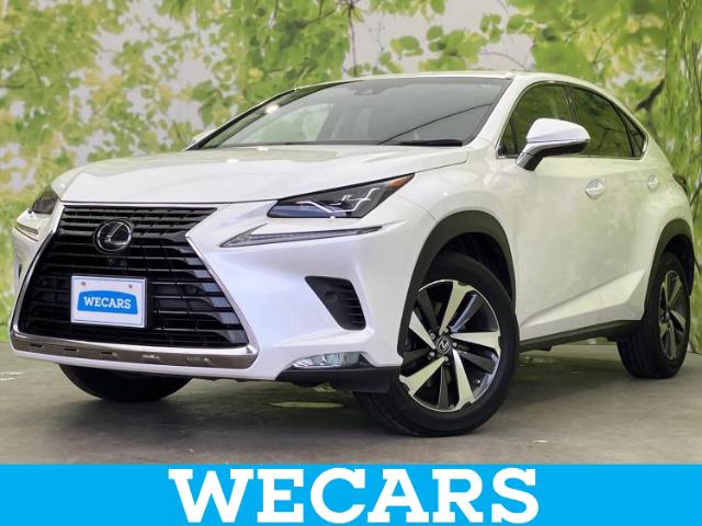 2018 Lexus NX