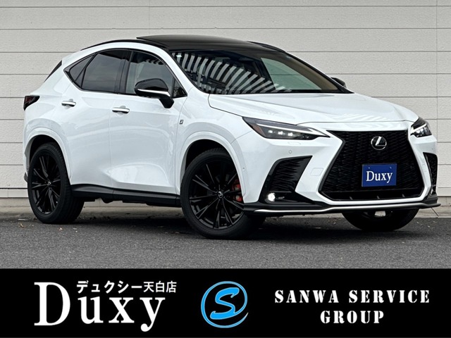 Lexus NX 1