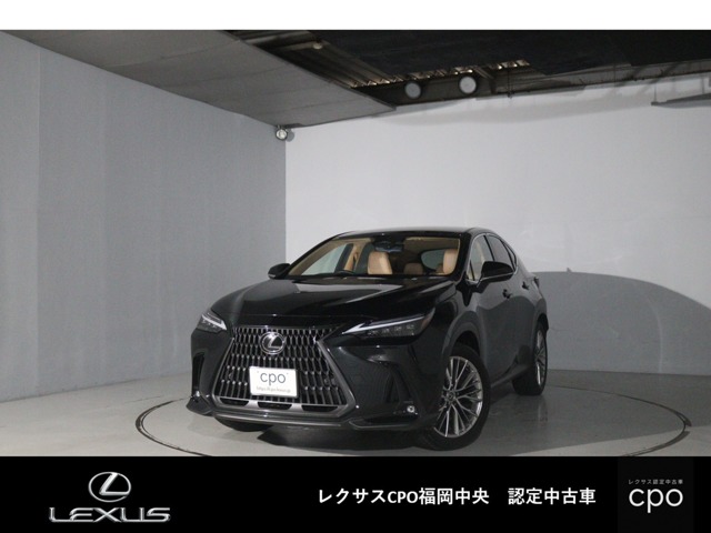 Lexus NX 1