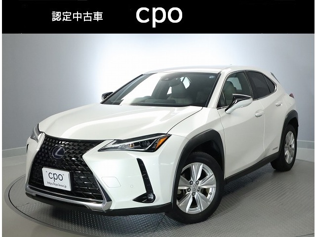 2021 Lexus UX