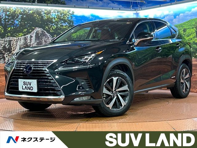 Lexus NX 1