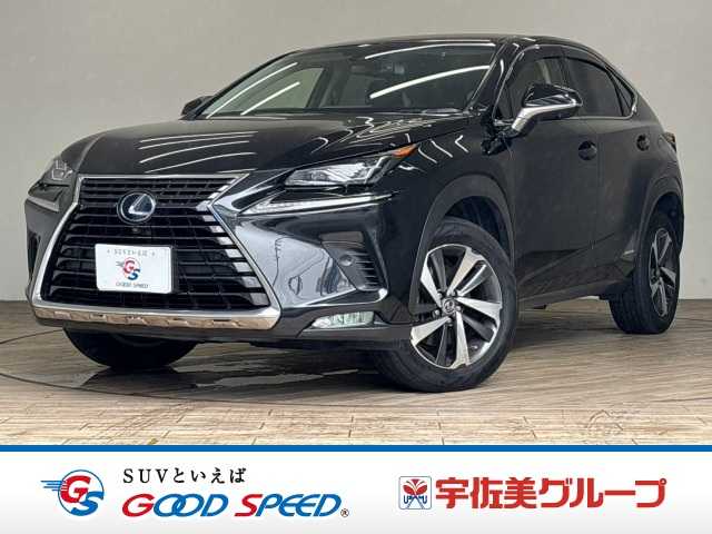 2018 Lexus NX