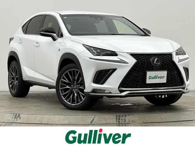Lexus NX 1