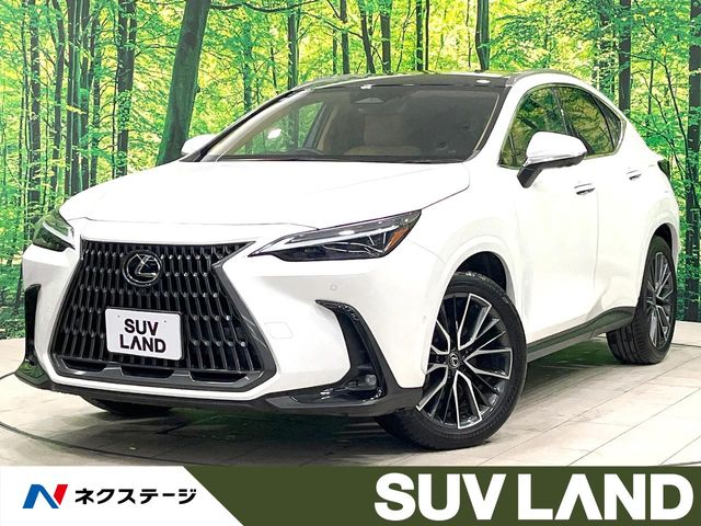 2024 Lexus NX