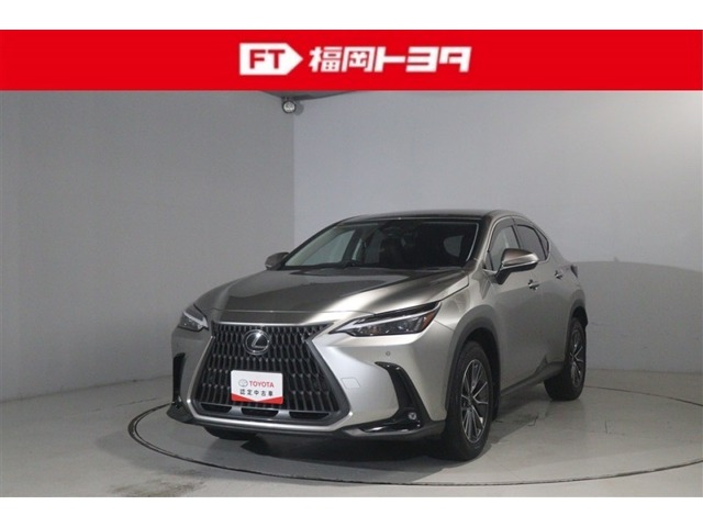 Lexus NX 1