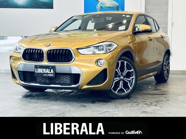 BMW X2 1