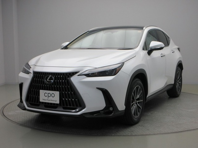 2025 Lexus NX