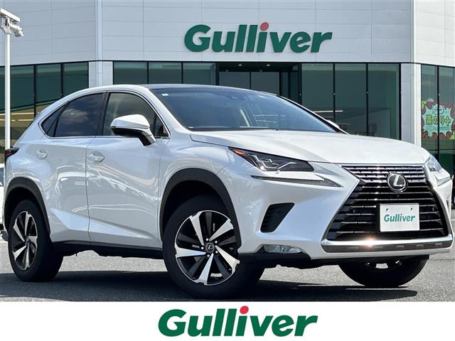 Lexus NX 1