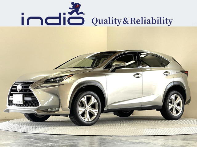 2015 Lexus NX