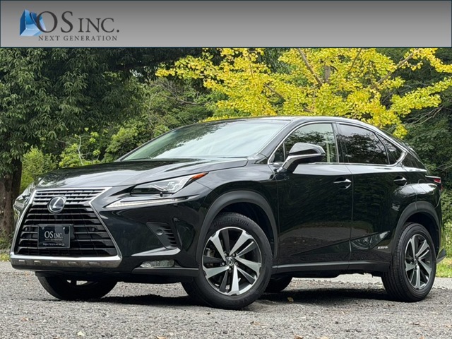 Lexus NX 1