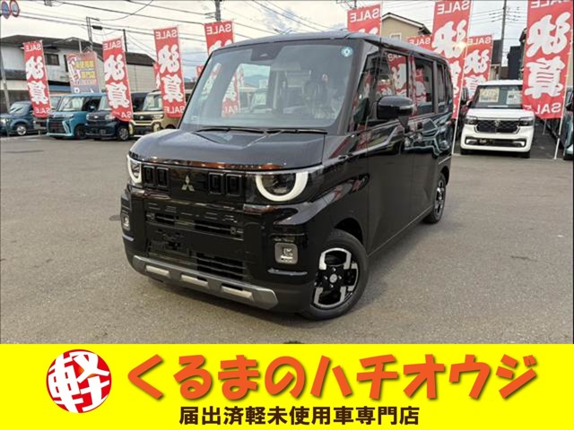 Mitsubishi Delica Mini 1