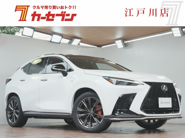 Lexus NX 1