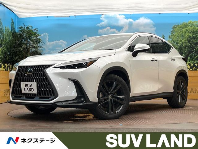 2022 Lexus NX