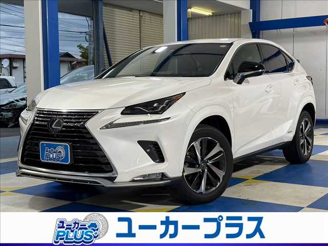 2020 Lexus NX