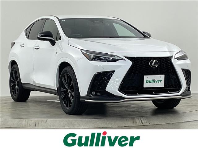 Lexus NX 1