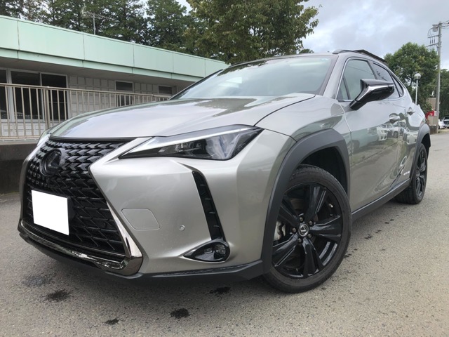 2021 Lexus UX