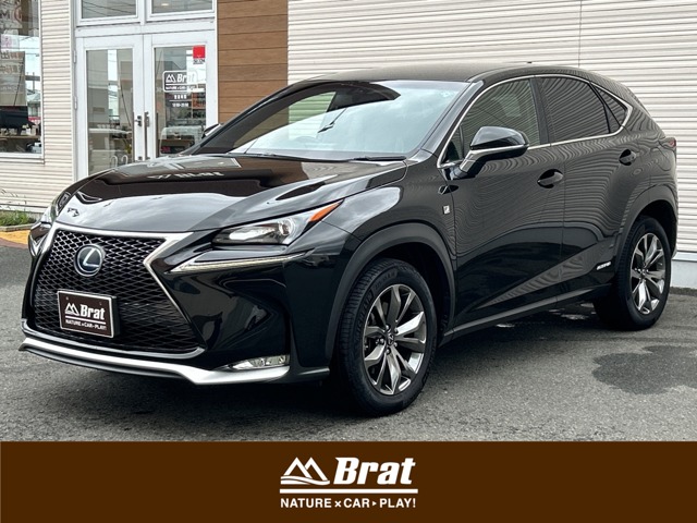 2015 Lexus NX
