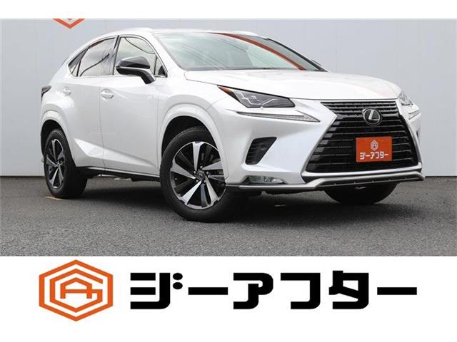 2020 Lexus NX