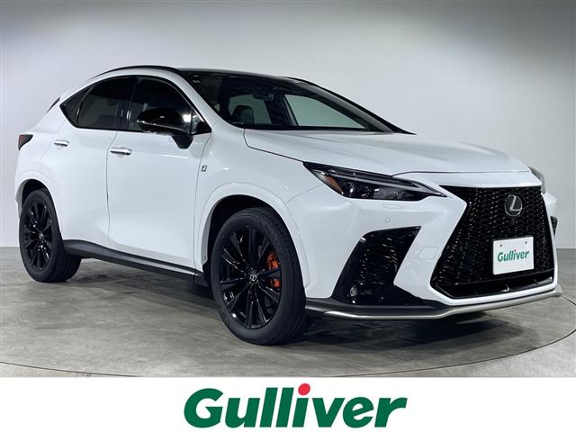 Lexus NX 1