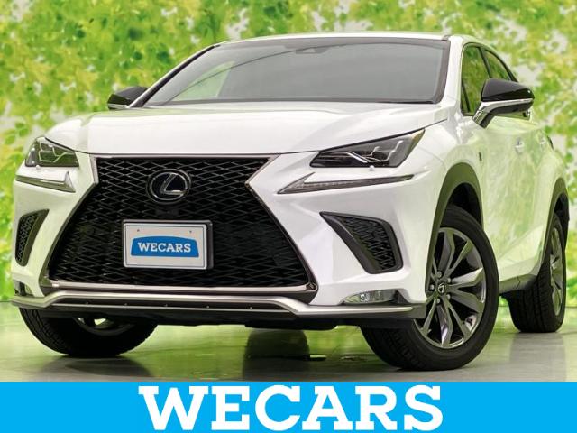 Lexus NX 1