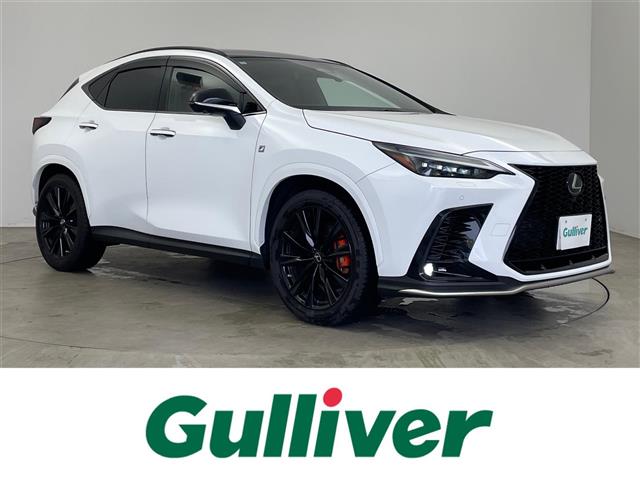 Lexus NX 1