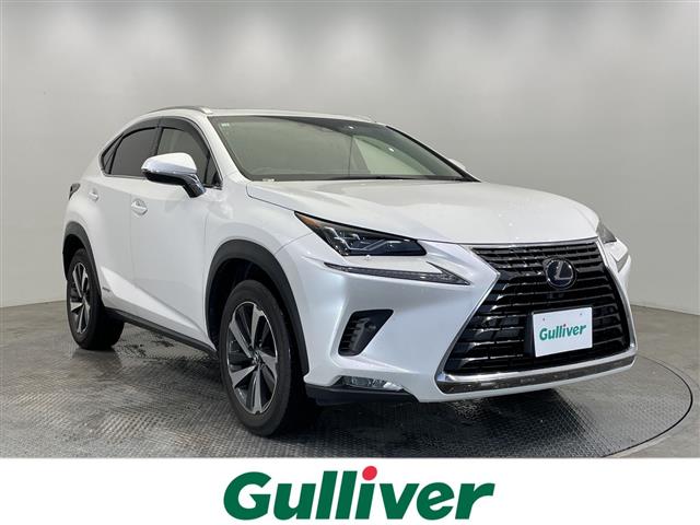 2018 Lexus NX