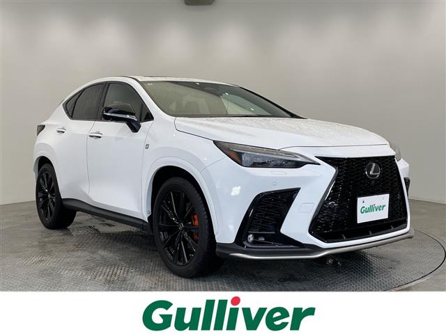 Lexus NX 1