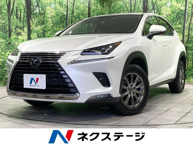 Lexus NX 1