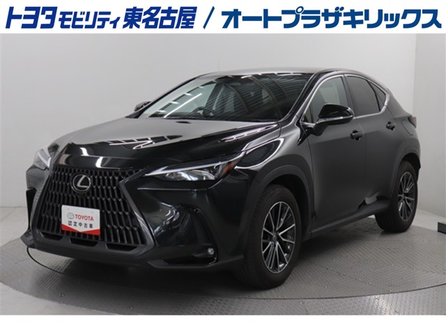 Lexus NX 1