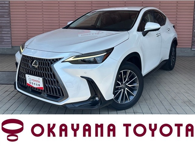 Lexus NX 1
