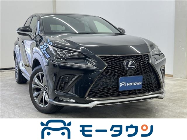 Lexus NX 1