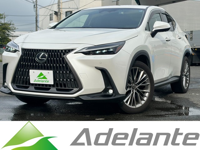 2022 Lexus NX