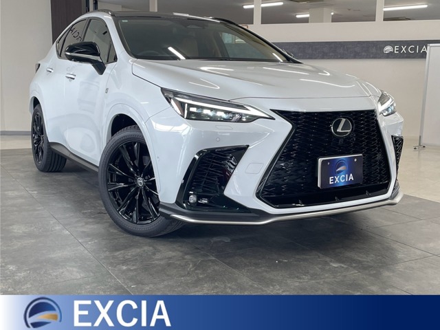 Lexus NX 1