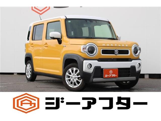 Suzuki Hustler 1