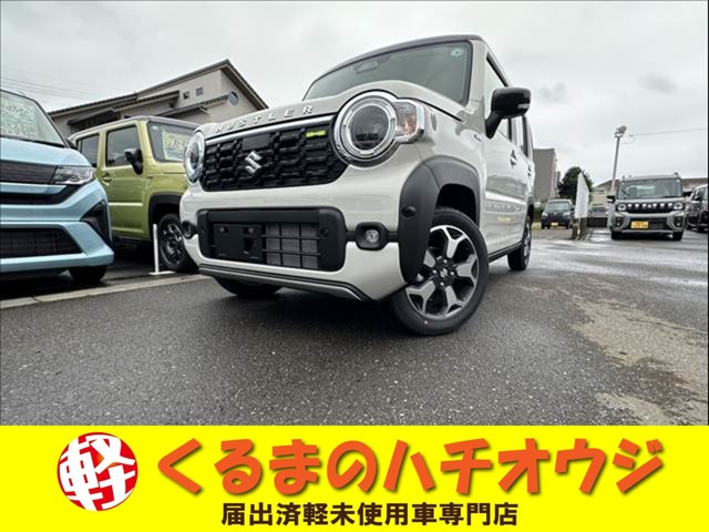Suzuki Hustler 1