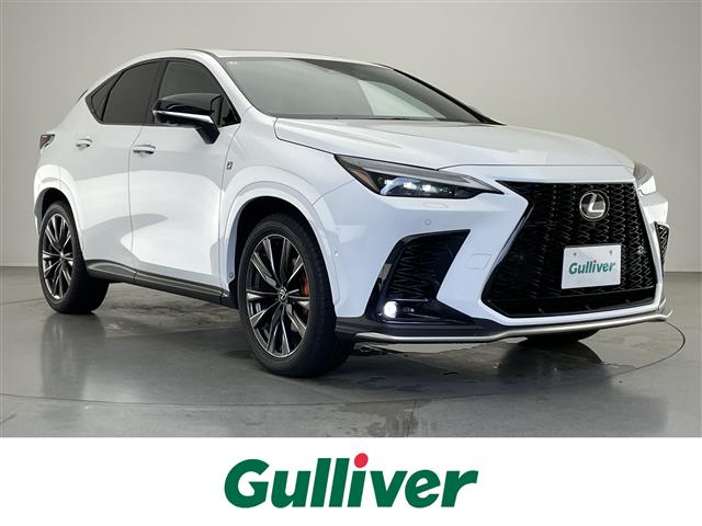 Lexus NX 1