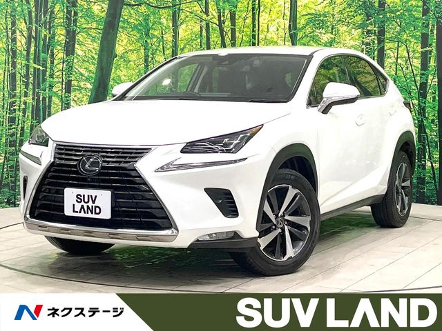 2020 Lexus NX