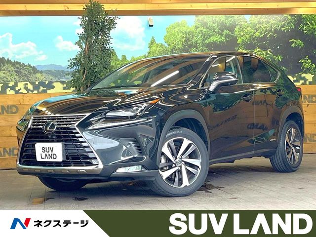 Lexus NX 1