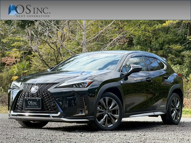 2019 Lexus UX