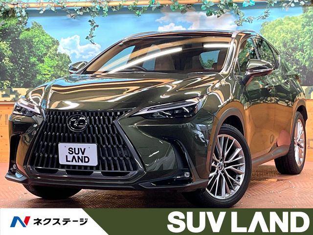 Lexus NX 1