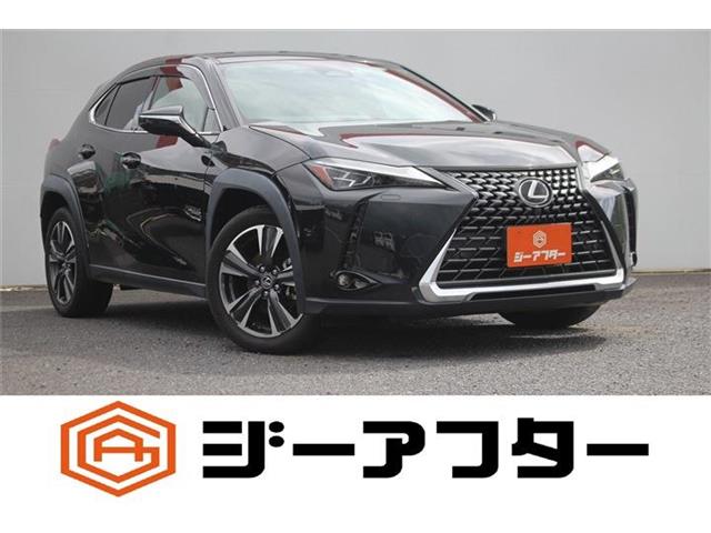 Lexus UX 1