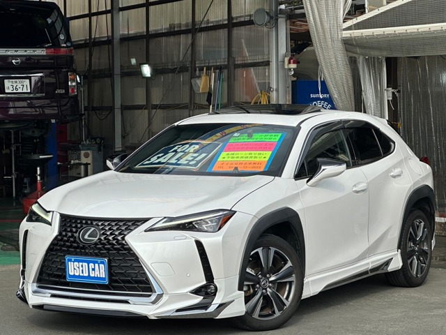 Lexus UX 1