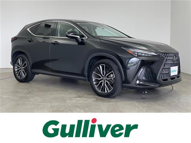 Lexus NX 1