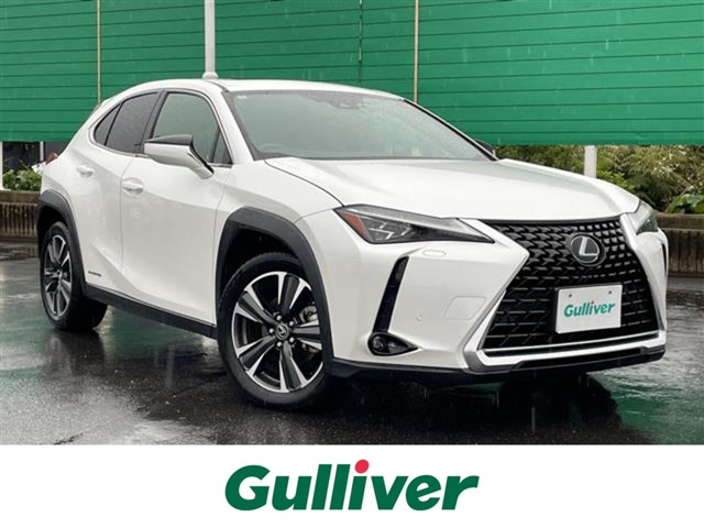 2019 Lexus UX