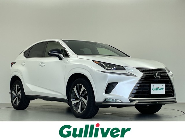 2021 Lexus NX