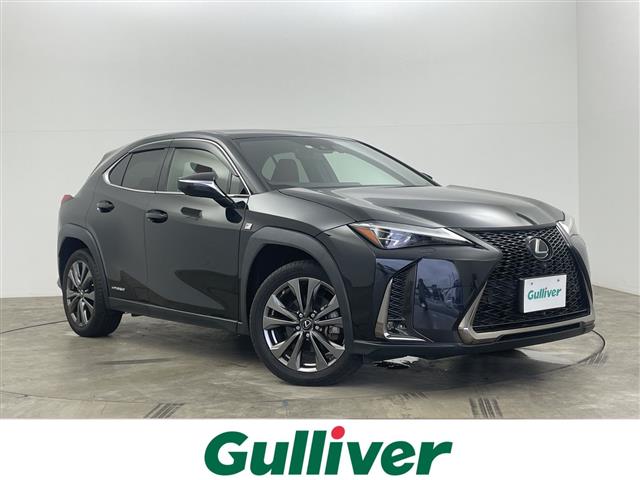 2021 Lexus UX