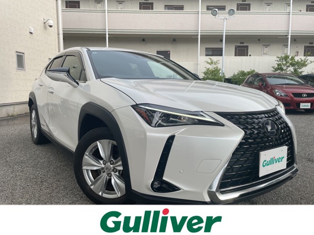 2020 Lexus UX