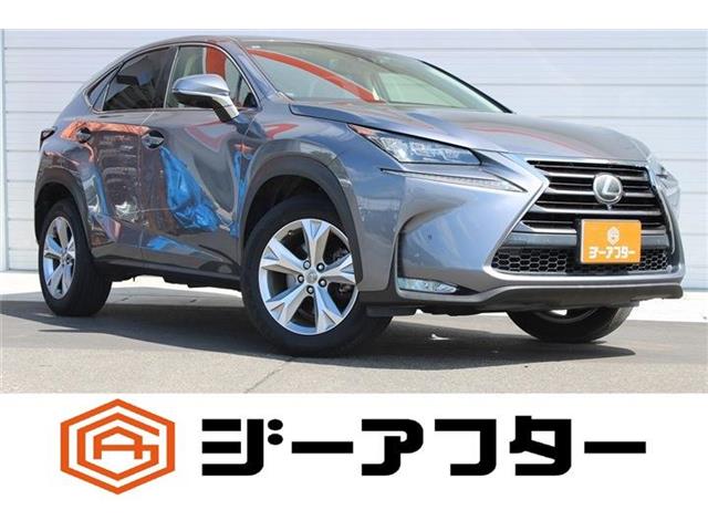 Lexus NX 1